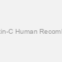 CST3 Human, Cystatin-C Human Recombinant Protein, Active